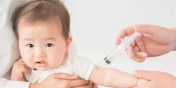 婴儿自费疫苗需要打