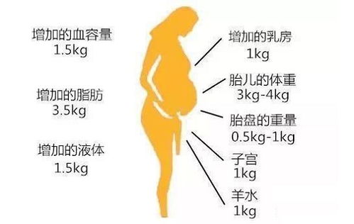 孕妇体重管理三大原